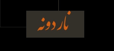 آموزشگاه موسیقی ناردونه